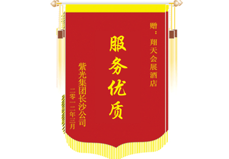 紫光集团长沙分公司锦旗