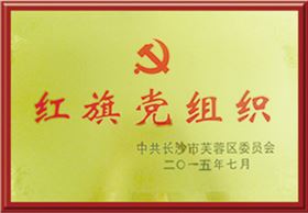 红旗党组织